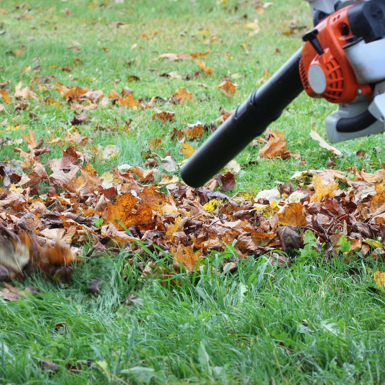 Lawn care services in Lincoln, CA