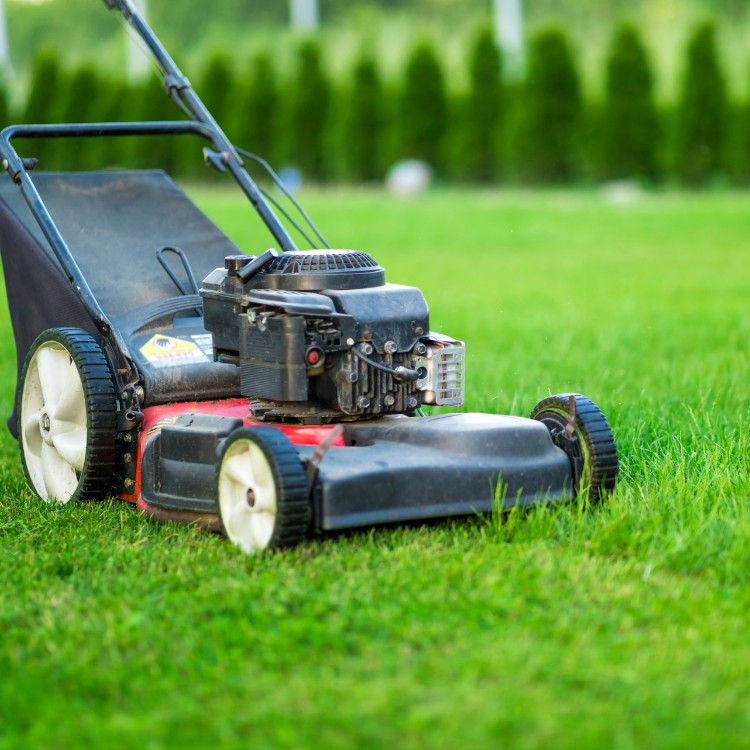 Lawn care services in Lincoln, CA