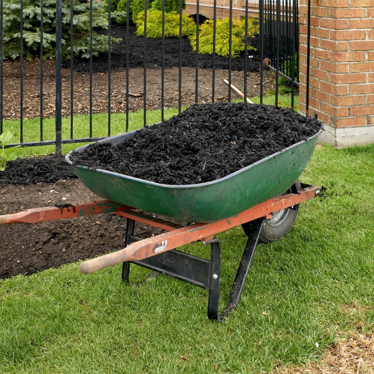 Lawn care services in Lincoln, CA