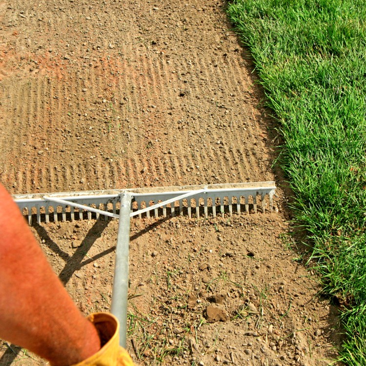 Lawn care services in Lincoln, CA