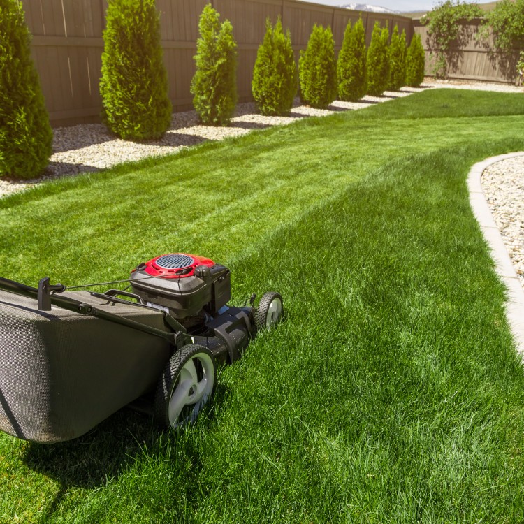 Lawn care services in Lincoln, CA