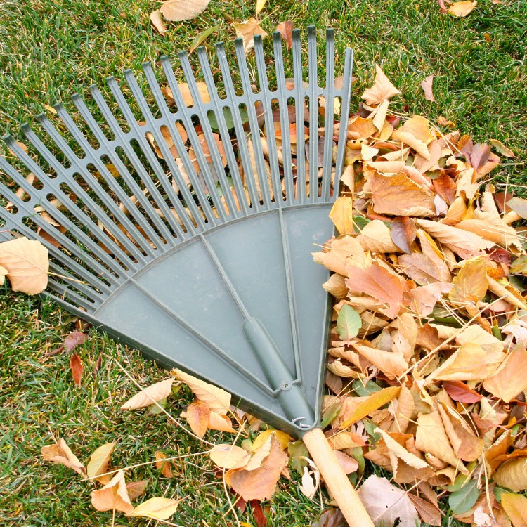 Lawn care services in Lincoln, CA