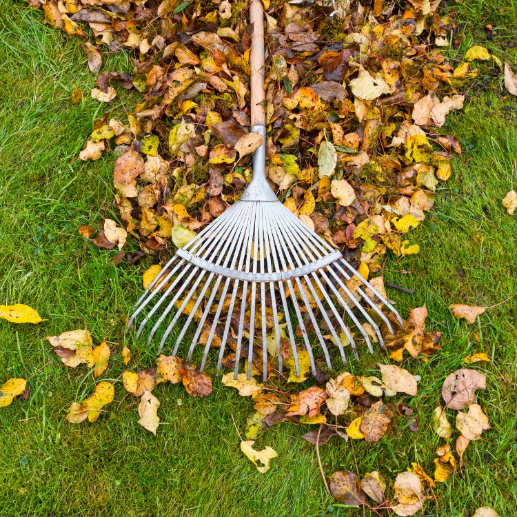 Lawn care services in Lincoln, CA
