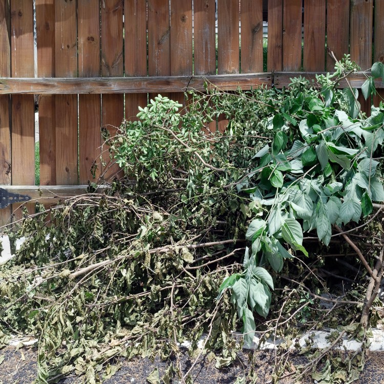 Lawn care services in Lincoln, CA