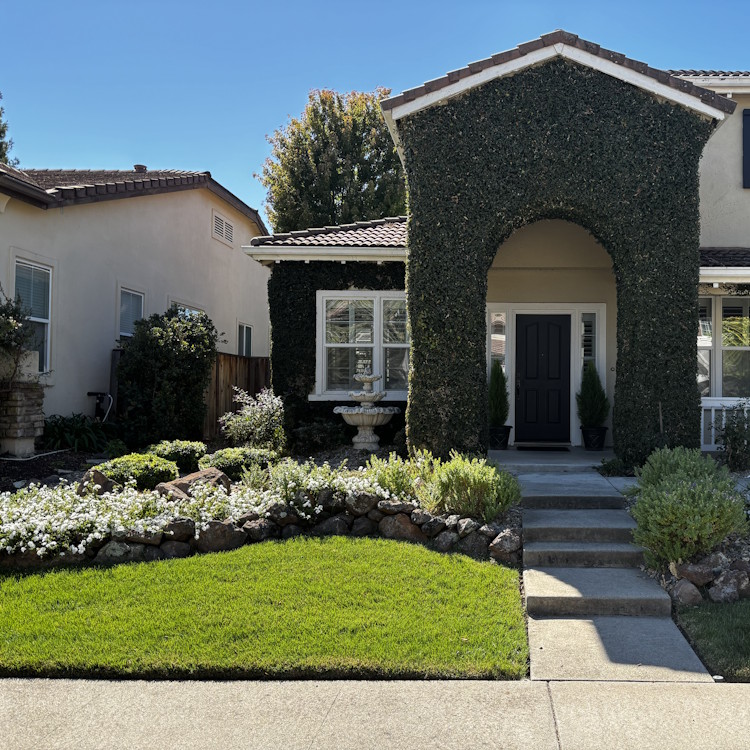 Lawn care services in Lincoln, CA
