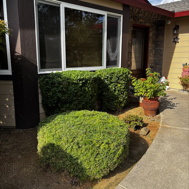 Lawn care services in Lincoln, CA